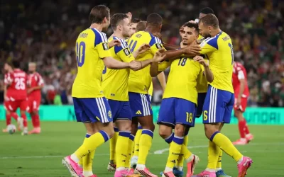 timnas swedia