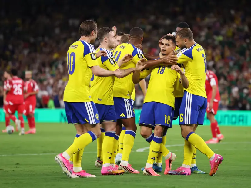 timnas swedia