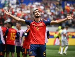 merino