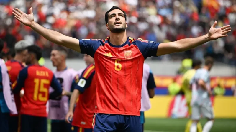 merino